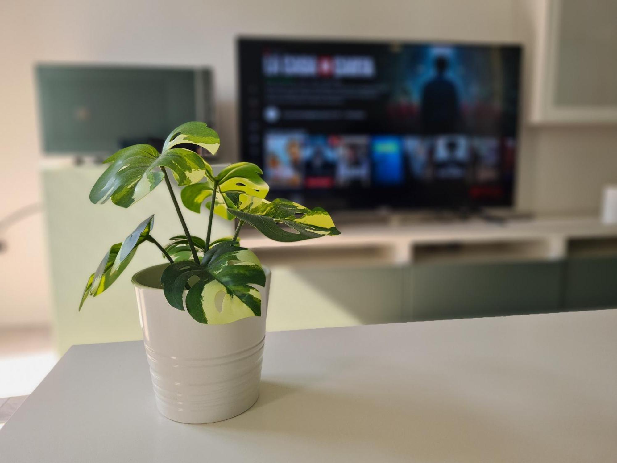 The Green Spot - Milano Екстер'єр фото